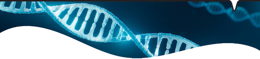 Save up to 40% on Dharmacon™ CRISPR or RNAi reagents!